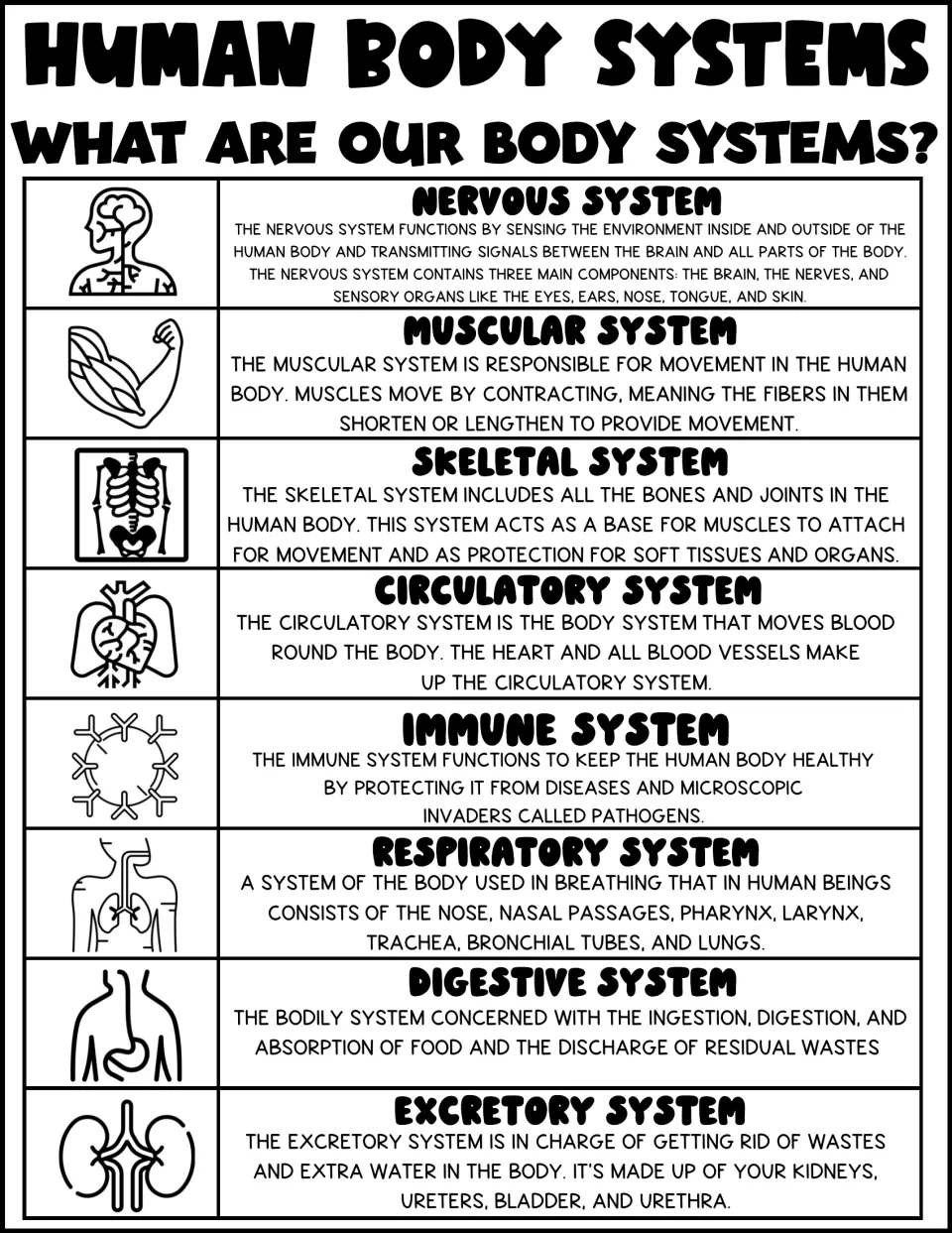 Body system roles: nervous, muscular, skeletal, circulatory, immune, respiratory, digestive and excretory, each with an icon