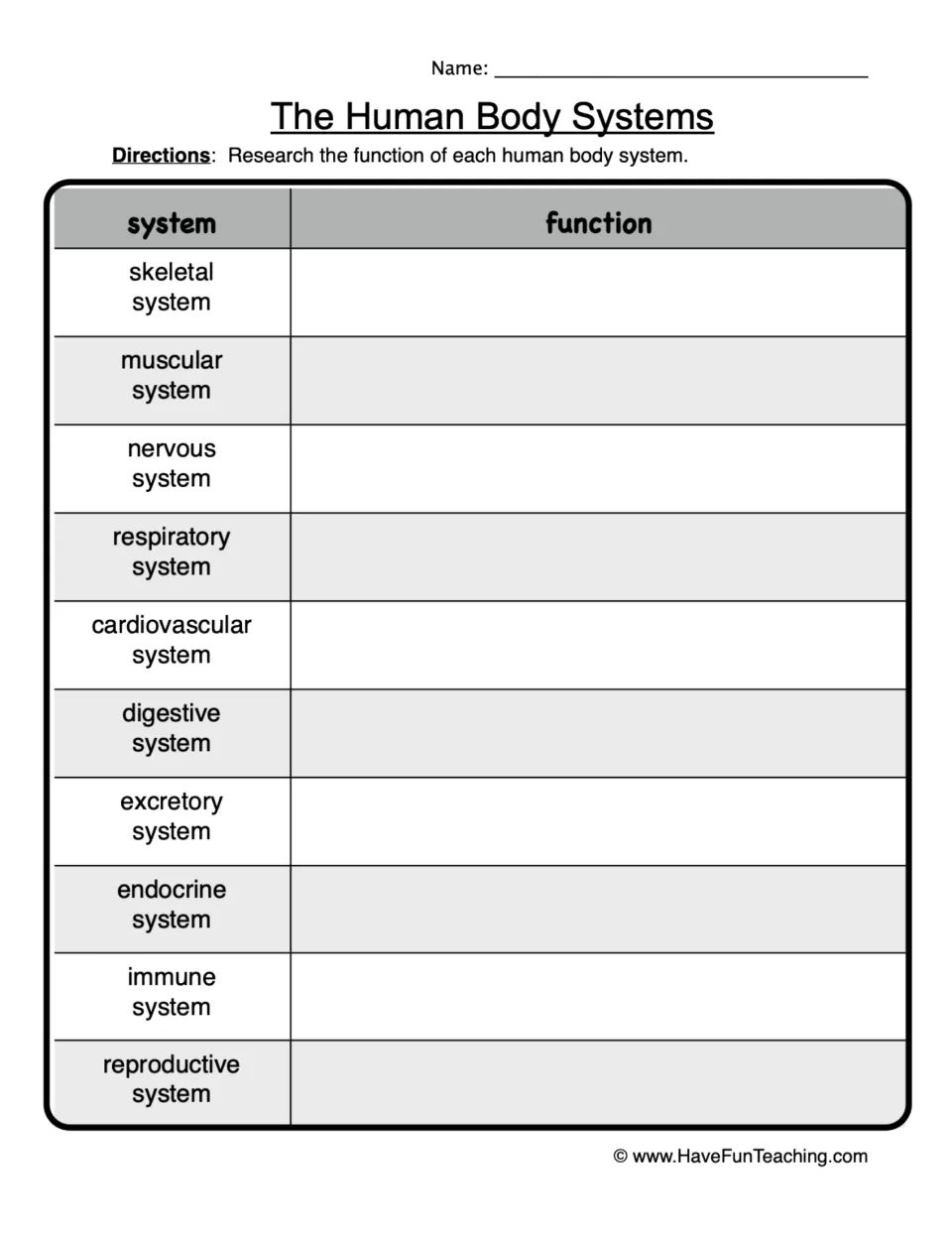 Human body systems research: students write the function of 10 systems, including skeletal, digestive and immune