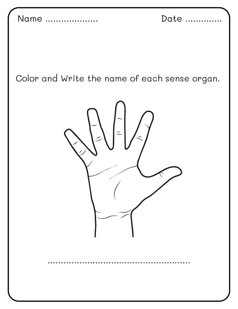 Sense organs: students color an outline drawing of a hand and write the name of this sense organ for touch