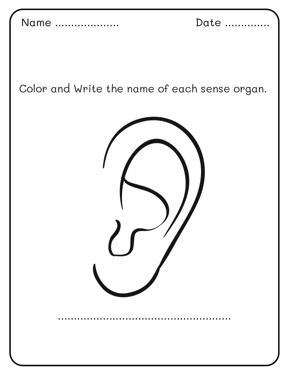 Sense organs: students color an outline drawing of an ear and write the name of this sense organ on the answer line