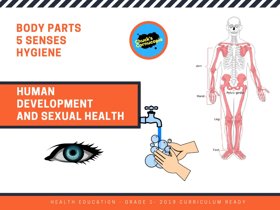 Cover for Body Parts, 5 Senses, Hygiene health unit with a labeled skeleton, an eye and hands washing under a tap