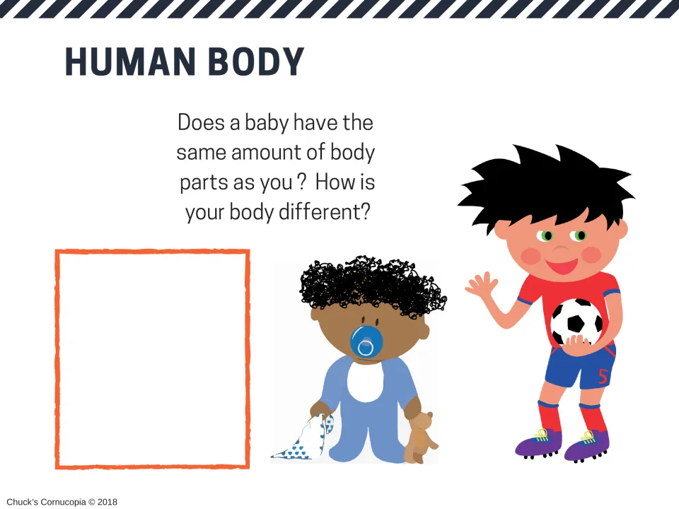 Growing bodies: students discuss whether a baby has the same body parts as them and draw how their body differs