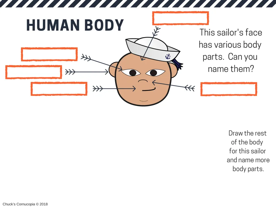 Face parts labeling: students name five parts on a sailor's face, then draw the rest of the body and name more parts