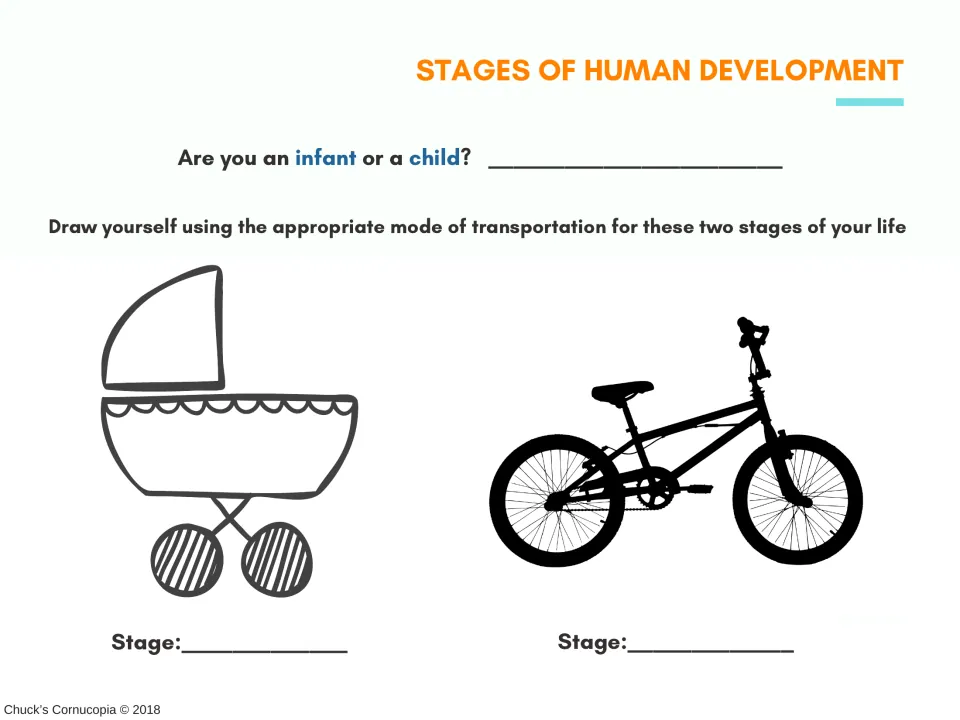 Human development activity asking students to identify their stage and draw themselves in a stroller and on a bike