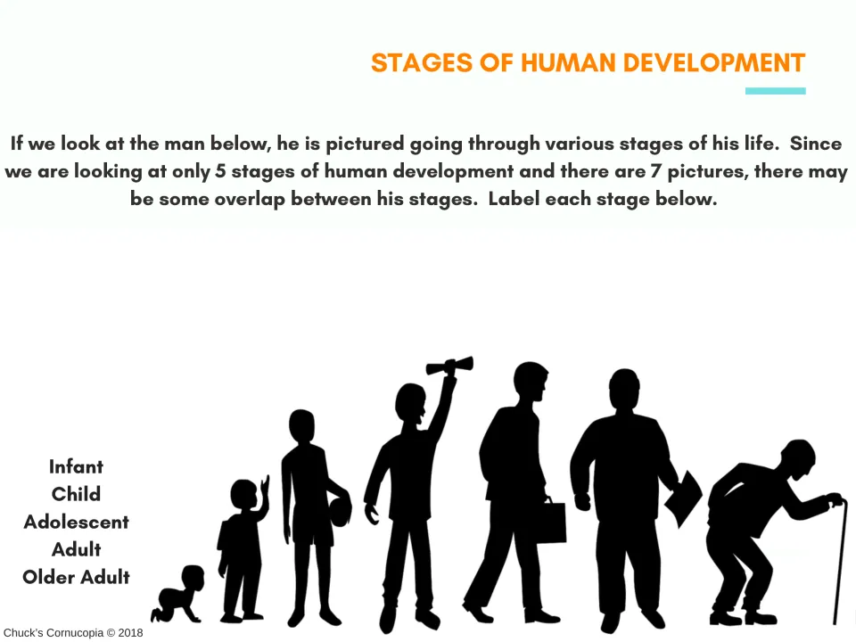 Human development labeling activity using seven silhouettes of one person across five stages of life