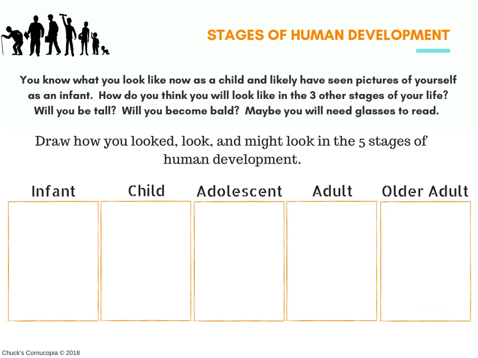 Human development drawing activity asking students to show themselves from infancy through older adulthood