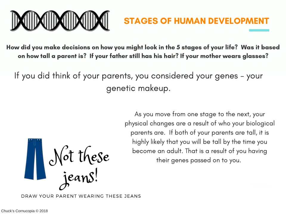 Genes lesson explaining inherited physical traits and asking students to draw a parent wearing jeans