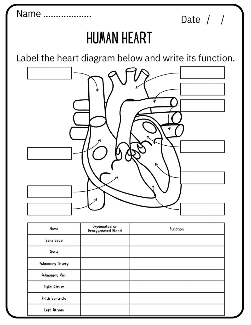Heart labeling: students name 11 parts on a blank diagram, then note oxygenated or deoxygenated blood and each function