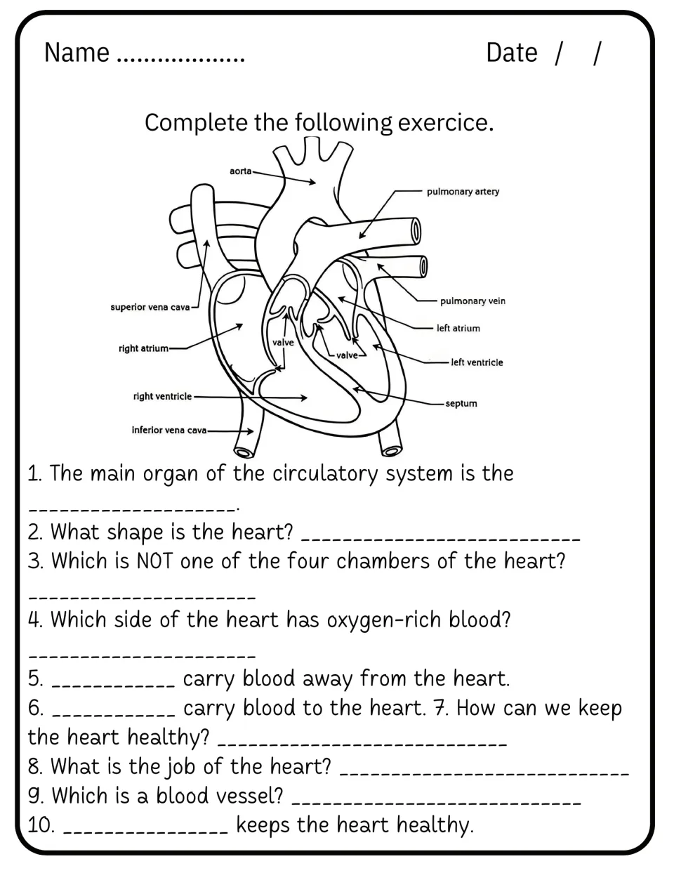 Heart review: 10 short-answer and fill-in questions on the heart's shape, chambers, arteries, veins and keeping it healthy
