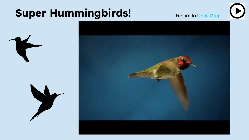 Super Hummingbirds! video slide shows a hummingbird in flight and a play symbol for the lesson's video segment.