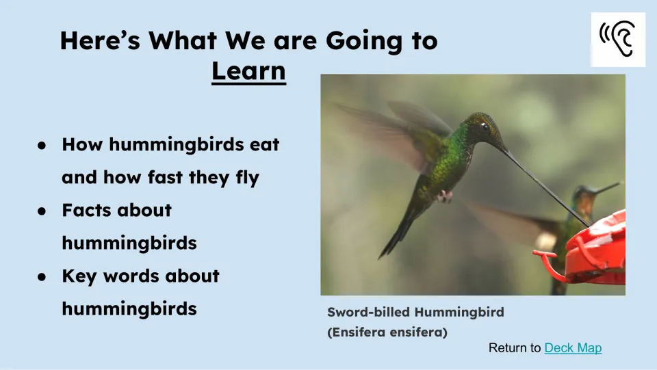 Learning preview lists how hummingbirds eat, how fast they fly, facts, and key words beside a sword-billed hummingbird.