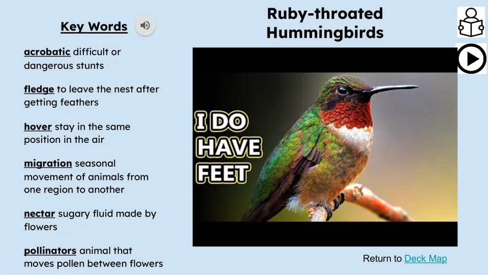Vocabulary and video slide defines acrobatic, fledge, hover, migration, nectar, and pollinators for hummingbird study.