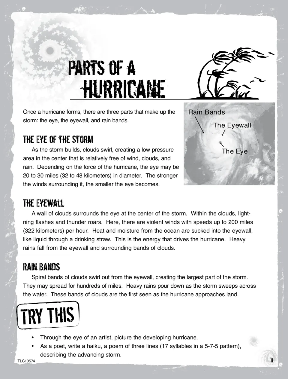 Hurricane anatomy reading about the eye, eyewall, and rain bands, with a labeled storm image and a haiku prompt