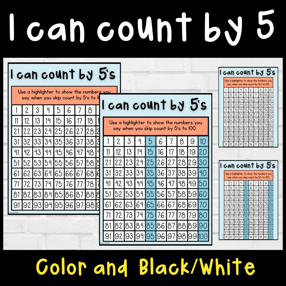 I can count by 5's to 100 and 120 on a hundreds chart – cover