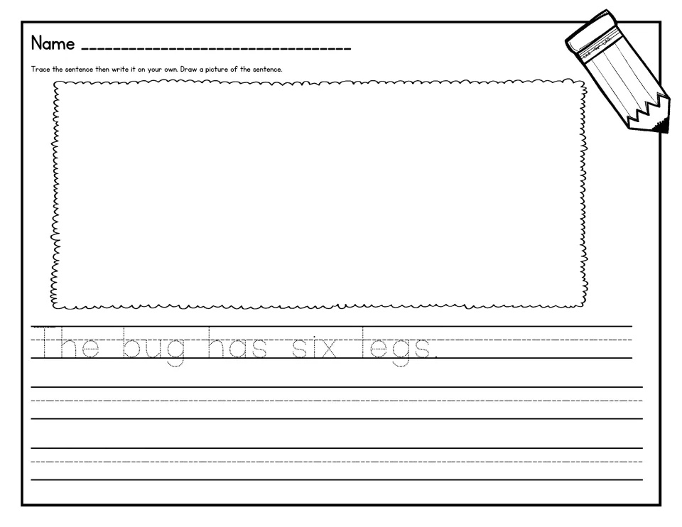 Sentence tracing: students trace "The bug has six legs.", write it on their own and draw a bug with six legs