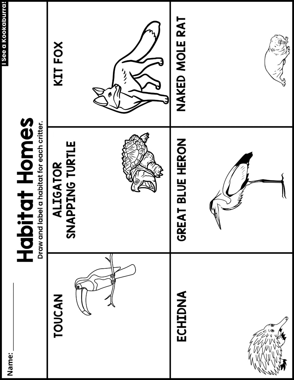 Habitat Homes asks students to draw and label habitats for a toucan, kit fox, echidna, and three more animals.