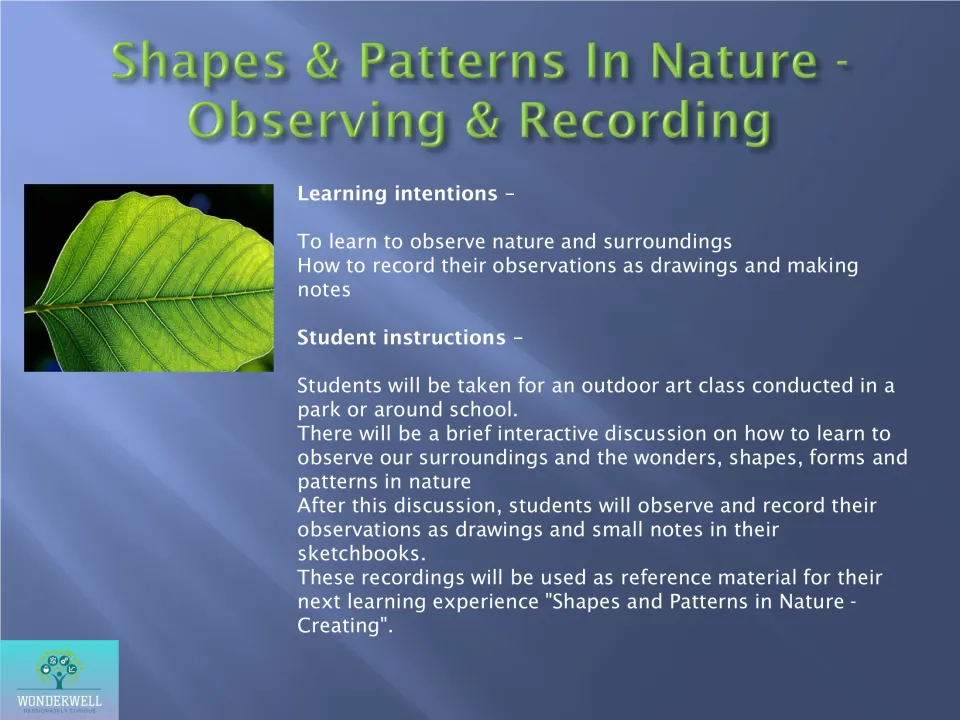 Shapes and patterns in nature: in an outdoor art class, students observe and record drawings and notes in sketchbooks
