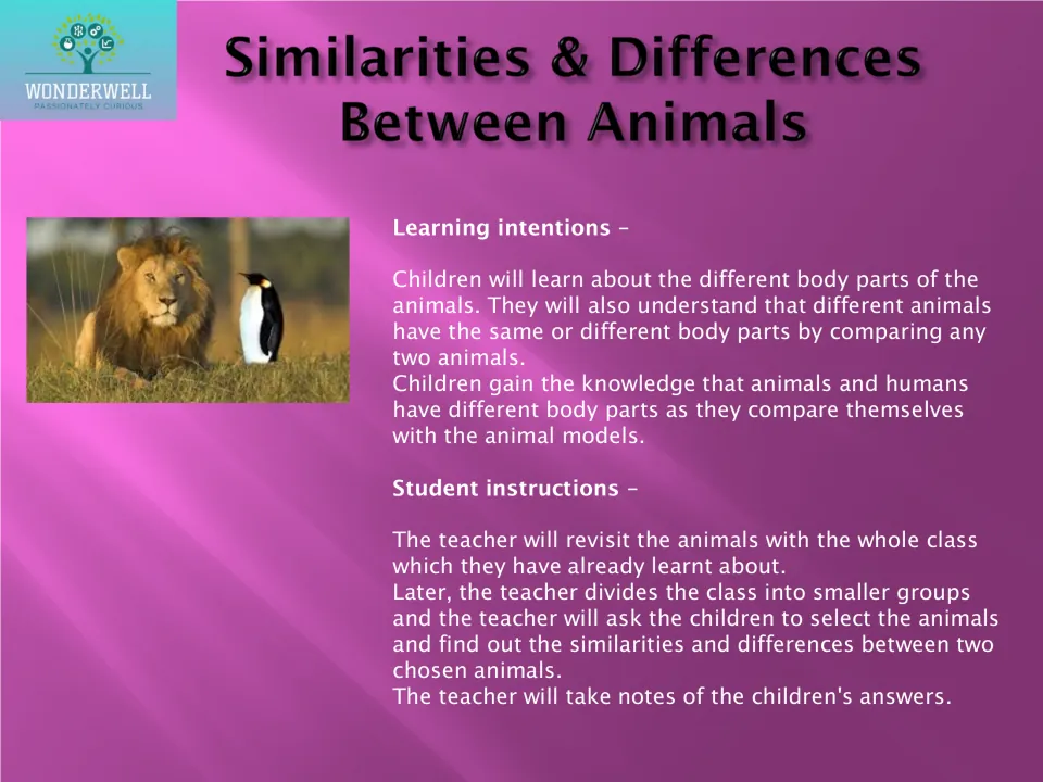 Comparing animals: small groups find similarities and differences in body parts between two chosen animals