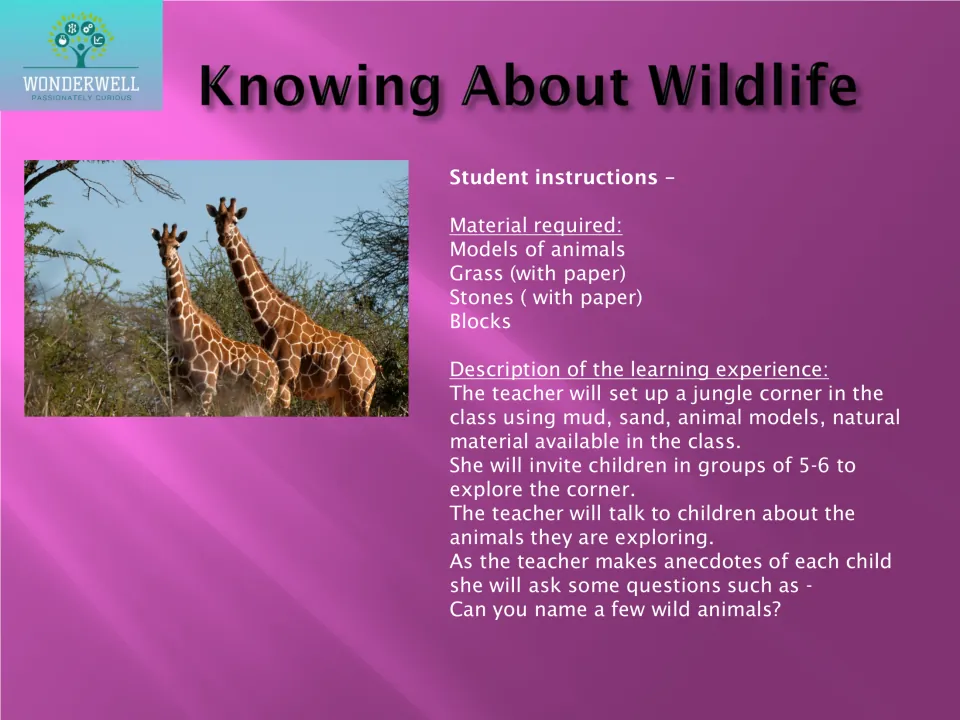 Knowing about wildlife: children explore a classroom jungle corner of animal models, grass, stones and blocks in groups