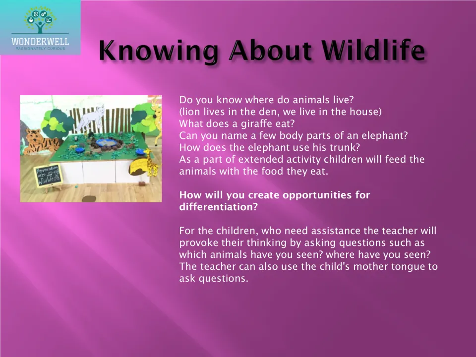 Wildlife questions on where animals live, what giraffes eat and elephant trunks, plus differentiation prompts