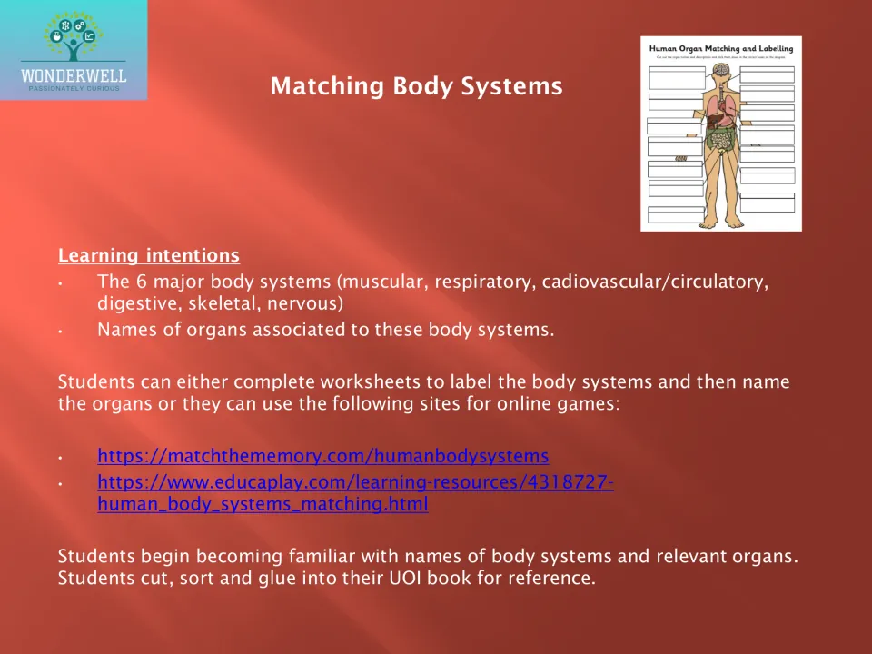 Matching body systems lesson plan identifies six systems and uses organ labeling or online matching games