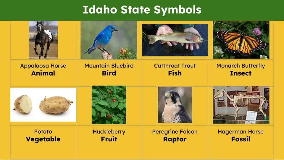 State symbols slide labels pictures of the Appaloosa horse, mountain bluebird, cutthroat trout, and five more