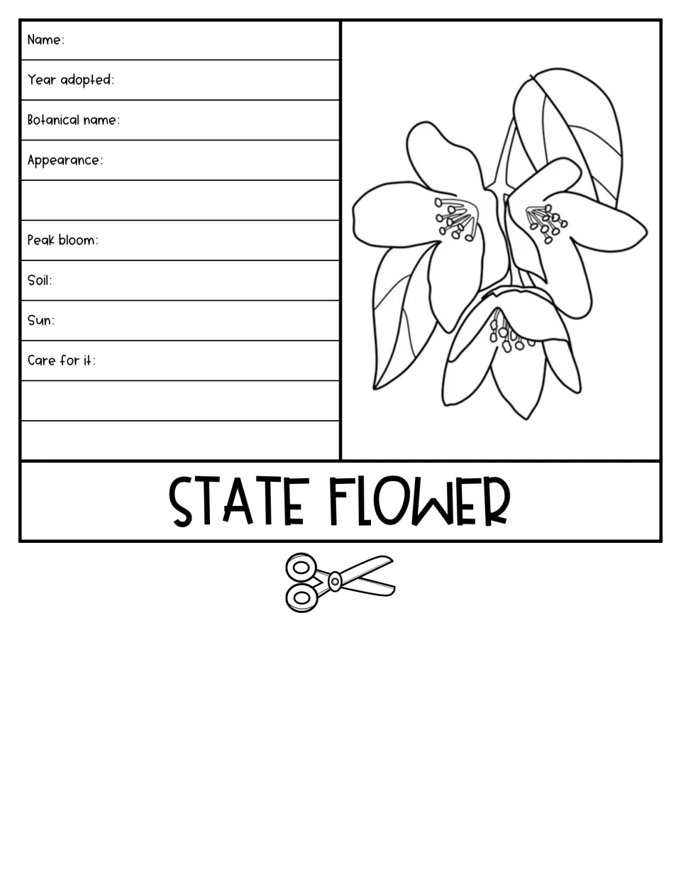State flower flap: students note name, year adopted, botanical name, appearance, peak bloom, soil, sun and plant care