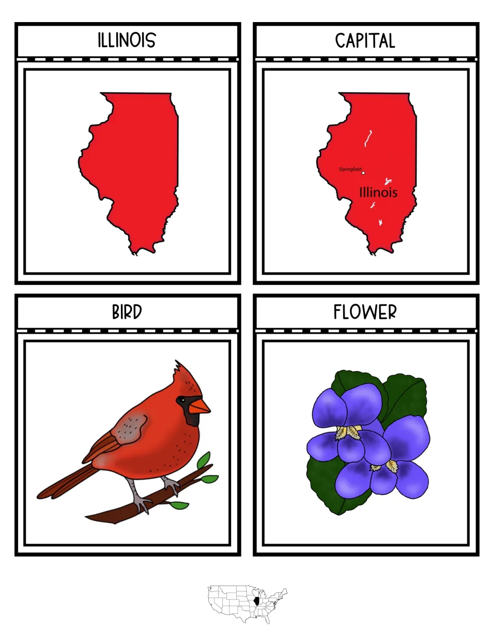 Four interactive notebook pieces show Illinois, its capital Springfield, a cardinal, and violet flowers