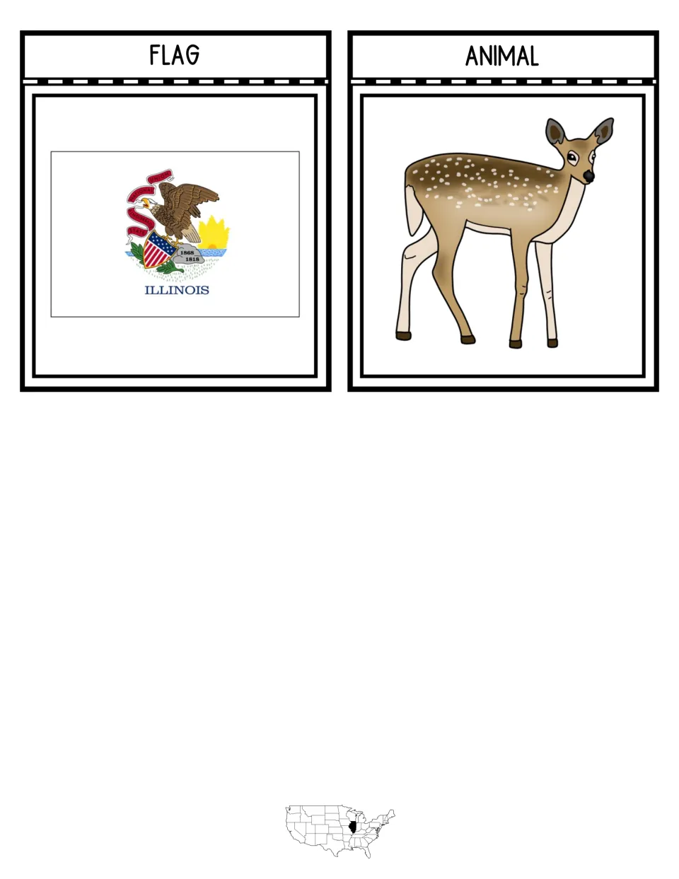 Two interactive notebook pieces show the Illinois state flag and a white-tailed deer for the unit study