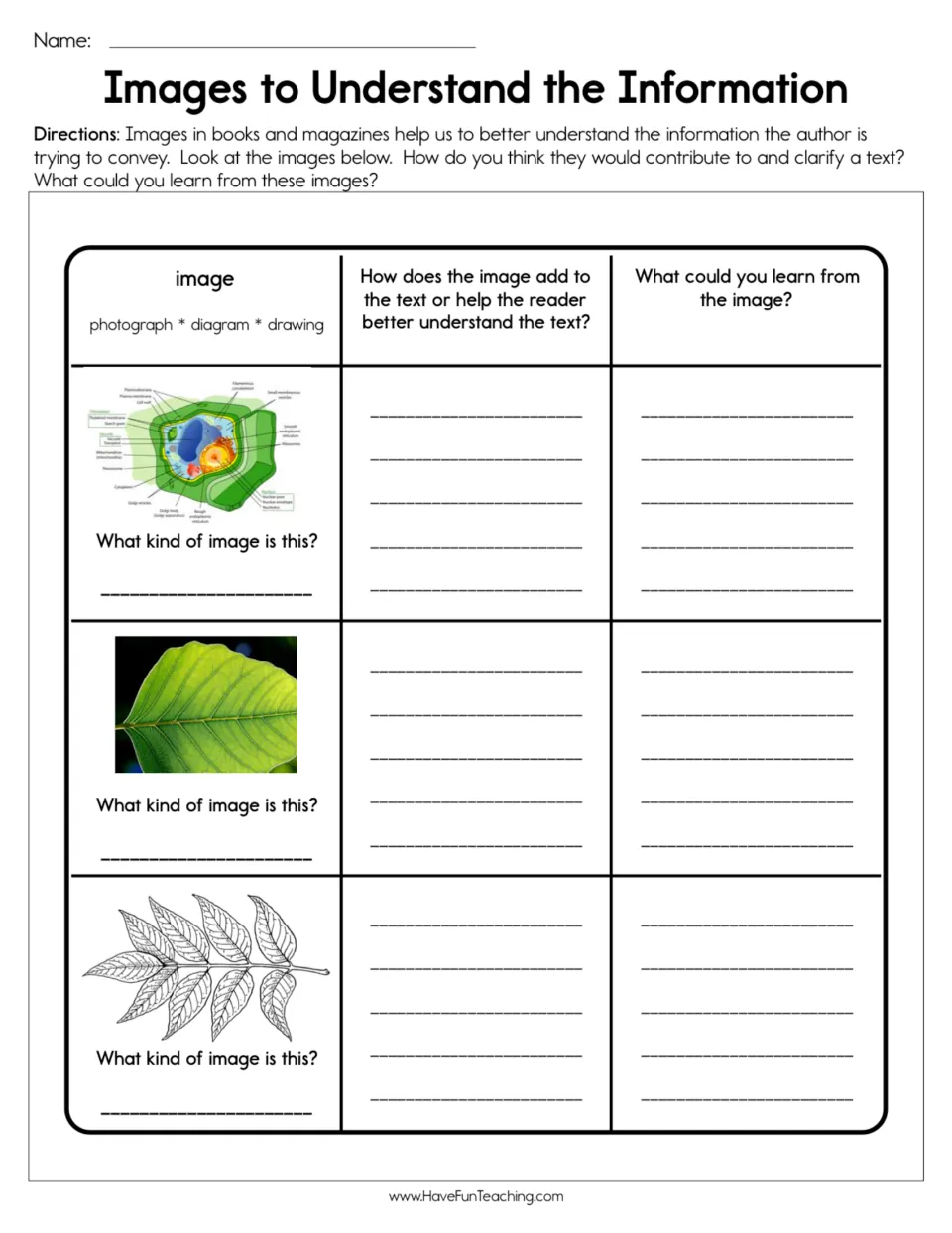 Image interpretation worksheet: identify a plant cell diagram, leaf photograph, and drawing of a leafy branch.