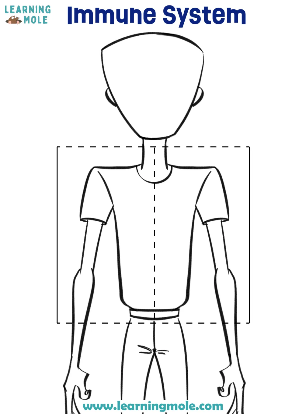 Immune system flap: students draw themselves on a body outline, then cut the torso along the cut lines as a cut-out piece