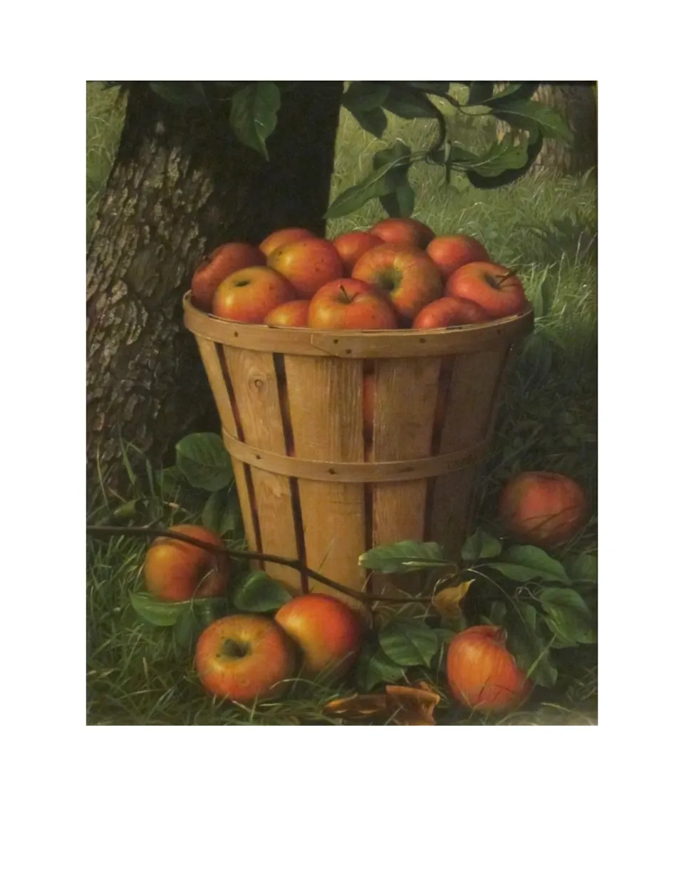Second letter A painting in the alphabet art book shows a wooden basket of apples beside a tree