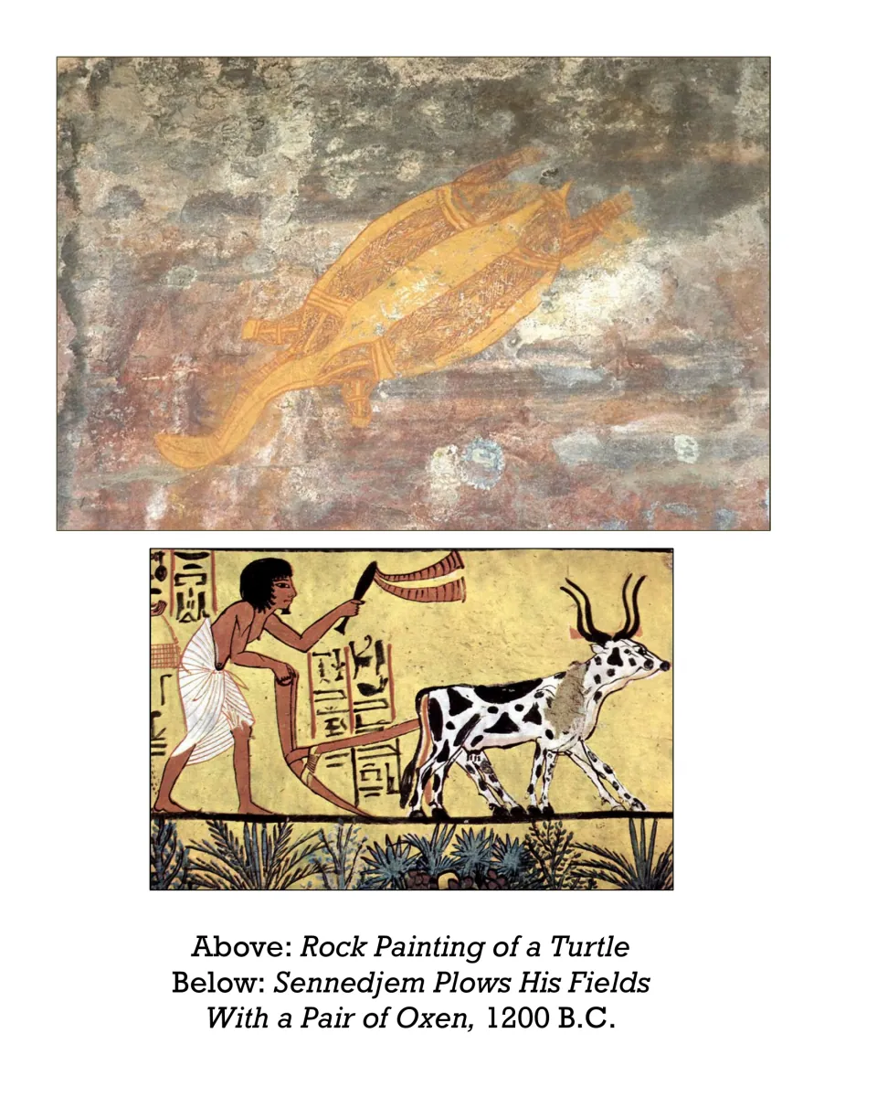 Animal art selection: Rock Painting of a Turtle and Sennedjem Plows His Fields With a Pair of Oxen