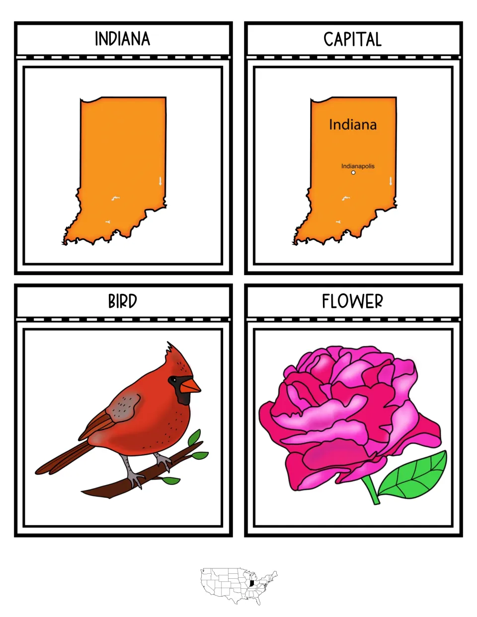 Notebook flaps for Indiana, its capital Indianapolis on a state map, the cardinal state bird and the peony state flower