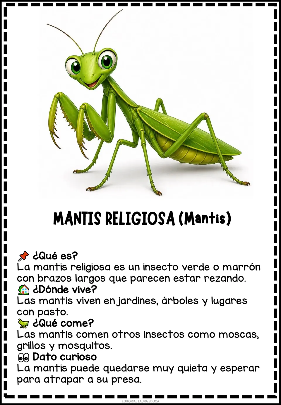 Praying mantis card in Spanish: Mantis religiosa facts on what it is, where it lives, what it eats, plus a curious fact