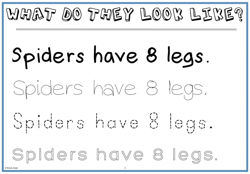 What do they look like? Students read 'Spiders have 8 legs.' and trace the sentence in thin, dotted and outlined print