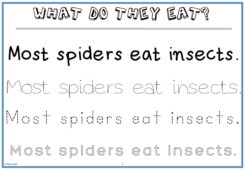 What do they eat? Students read 'Most spiders eat insects.' and trace the diet fact in thin, dashed and outline letters