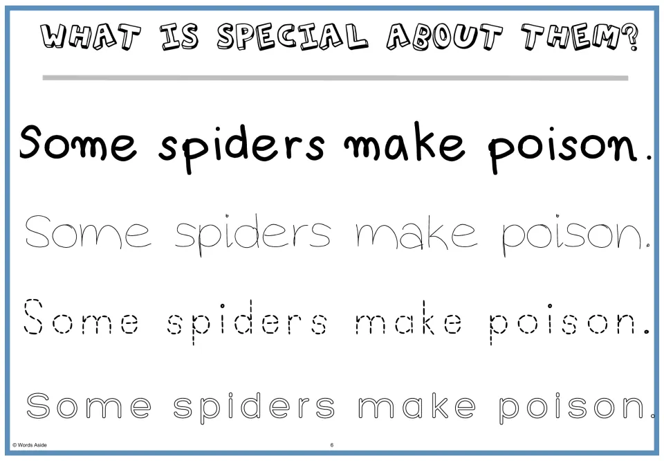 What is special about them? Students read 'Some spiders make poison.' and trace this special fact in three letter styles