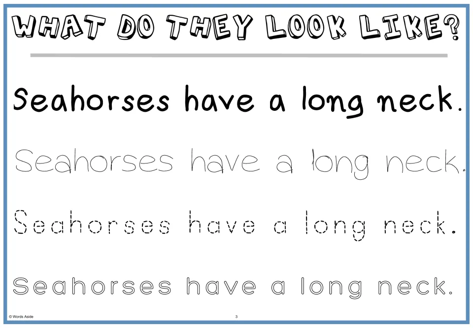What do they look like? Students read and trace 'Seahorses have a long neck.' in four letter styles, from bold to dotted