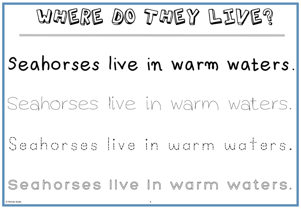 Where do they live? Students read 'Seahorses live in warm waters.' and trace it in thin, dotted and hollow print