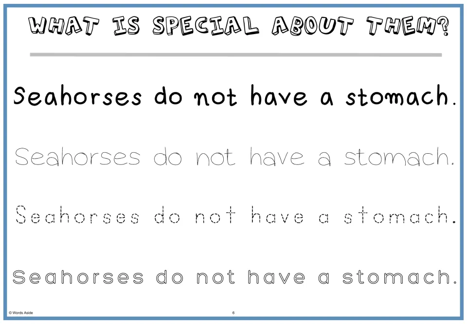 What is special about them? Students read 'Seahorses do not have a stomach.' and trace it in three letter styles