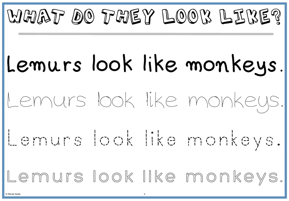 What do they look like? Students read 'Lemurs look like monkeys.' and trace the sentence in three handwriting styles