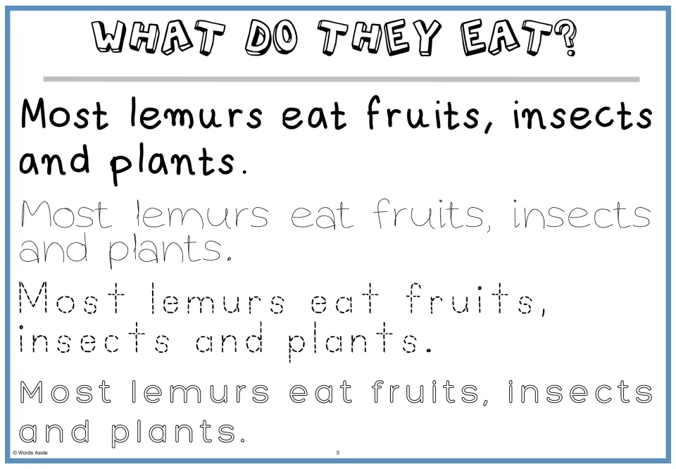 What do they eat? Students read 'Most lemurs eat fruits, insects and plants.' and trace it in dotted and outline letters