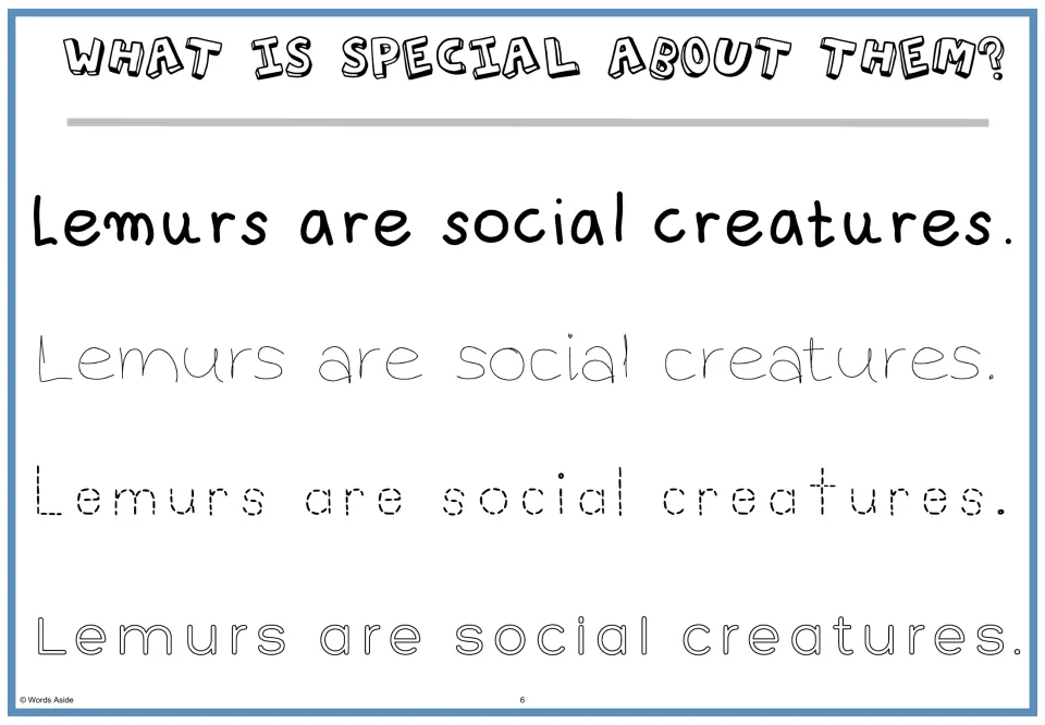 What is special about them? Students read 'Lemurs are social creatures.' then trace it in thin, dotted and outline print