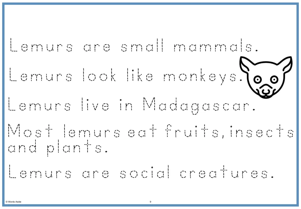 Lemur passage in dotted letters: students trace all five sentences, from 'small mammals' to 'social creatures'