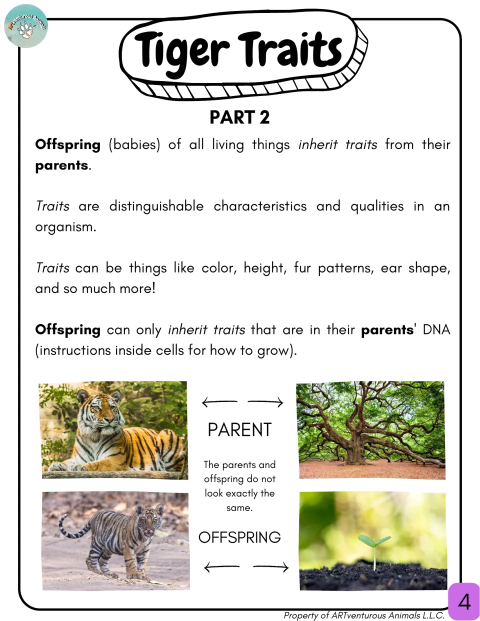 Tiger Traits Part 2: offspring inherit traits from parents' DNA, shown with tiger and cub, large tree and seedling photos