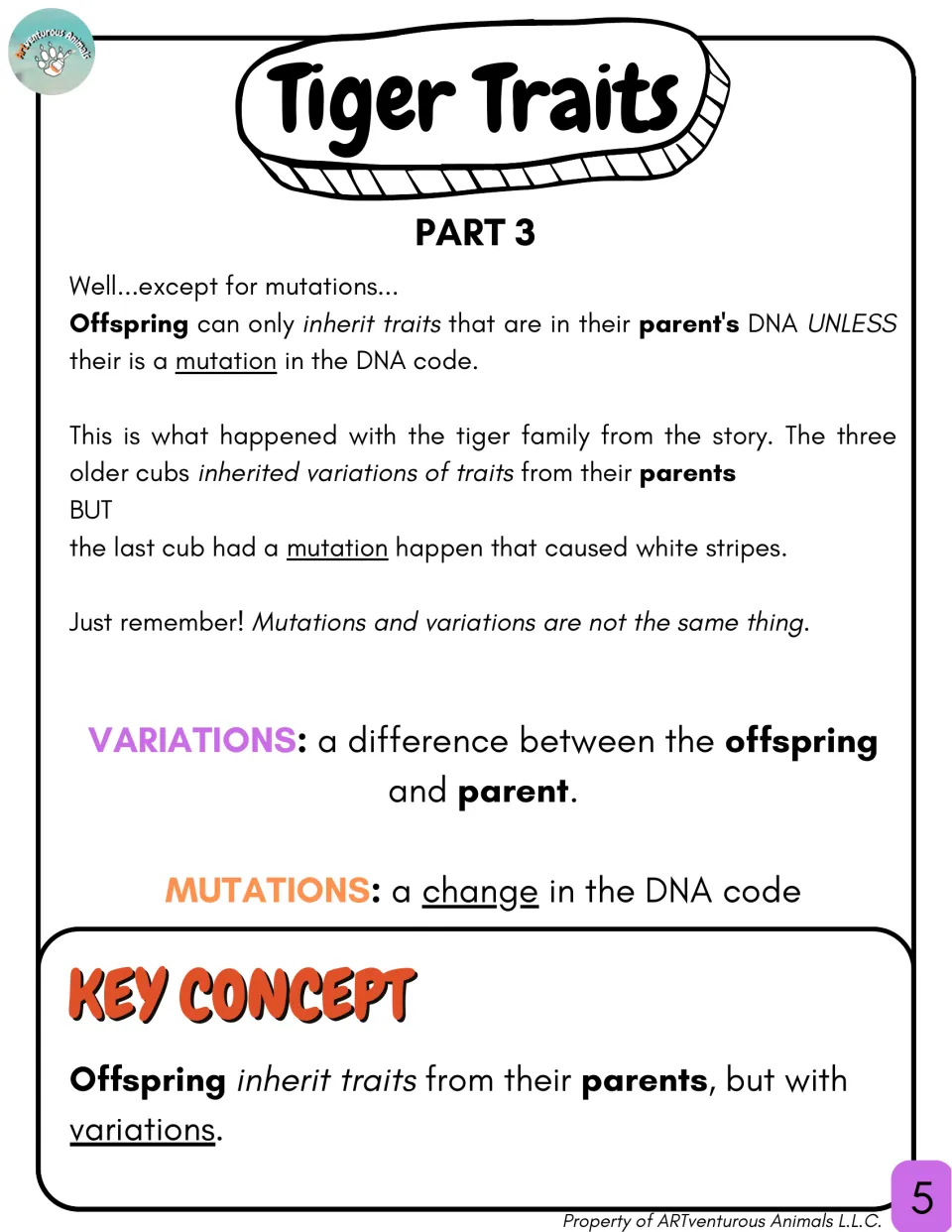 Tiger Traits Part 3: mutations vs. variations, defining each term and explaining the white-striped cub, plus a key concept