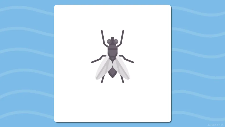 Picture-only flash card of a housefly; students say what the insect is and listen for the fl- blend at the beginning