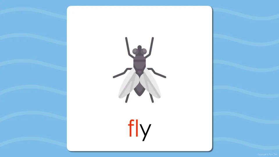 Flash card of a housefly with the word fly underneath, the fl blend in red marking the two-letter consonant onset