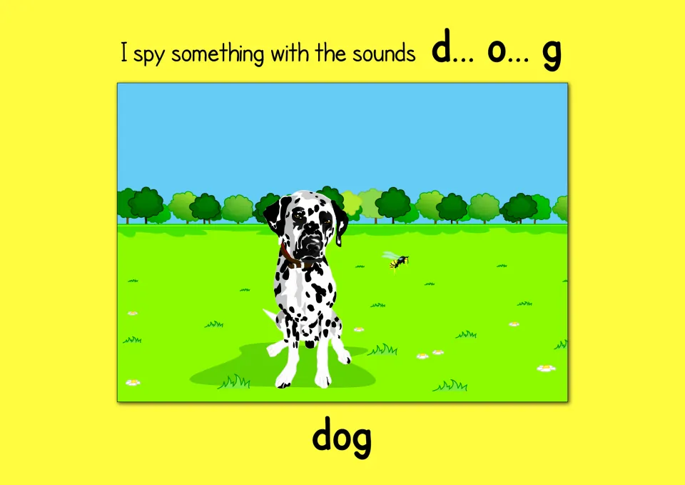 Blending sounds: I spy something with the sounds d... o... g, a Dalmatian sitting in a field, with the word dog